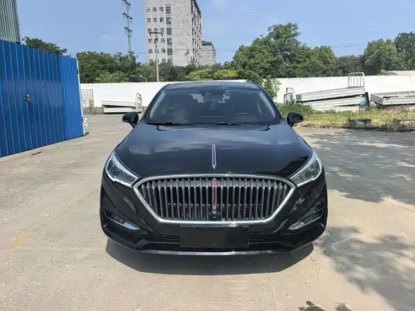 Hongqi H5 2020