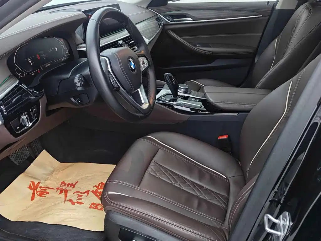 BMW 5 Series New Energy 2020
