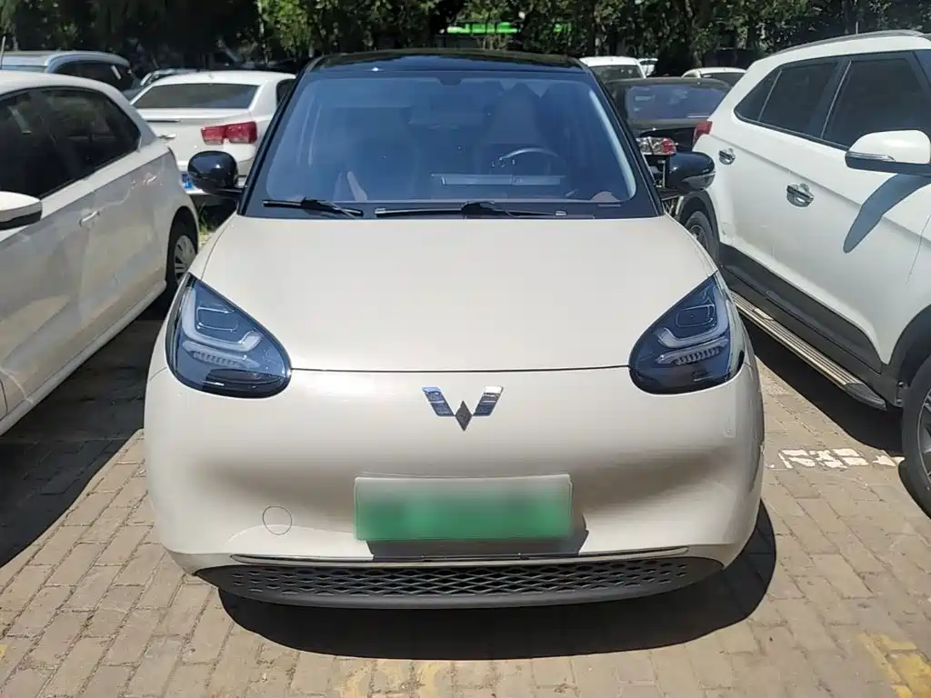 Wuling Bingo 2024