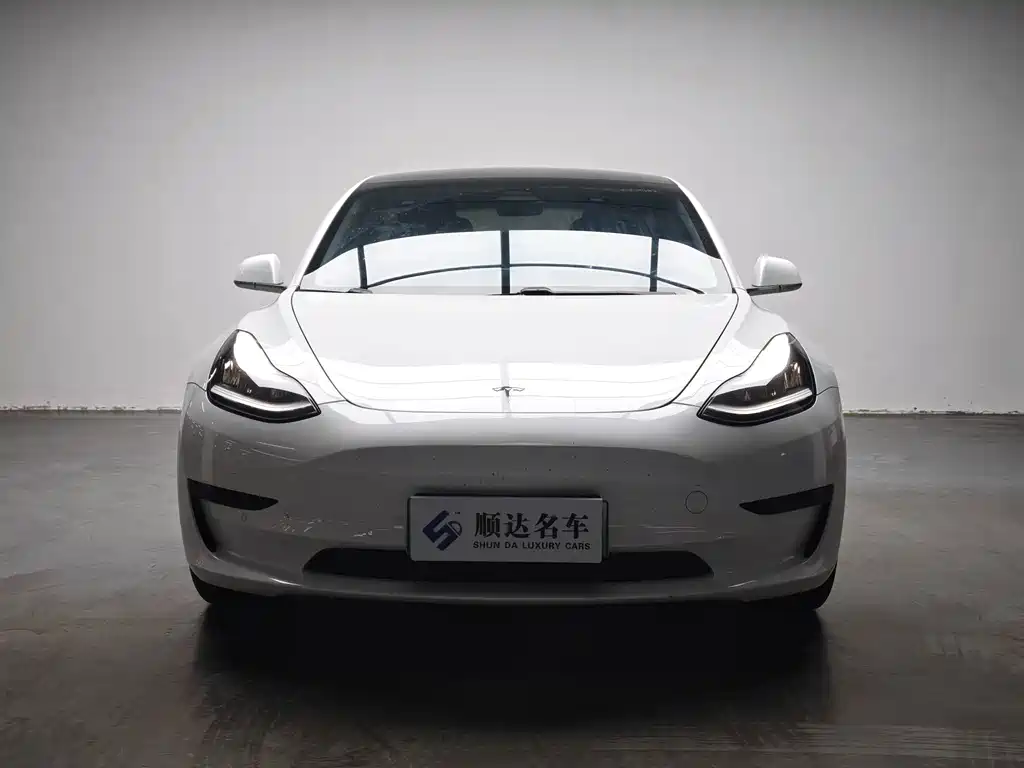 Tesla Model 3 2020 — фото 2