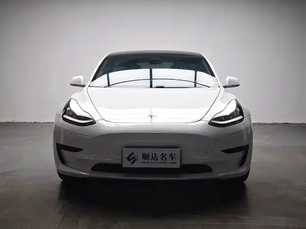 Tesla Model 3 2020