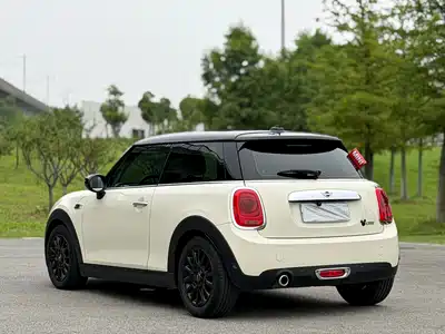 MINI MINI 2020