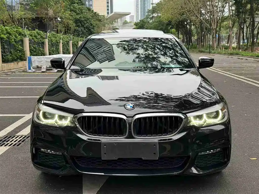 BMW 5 Series 2017 — фото 3