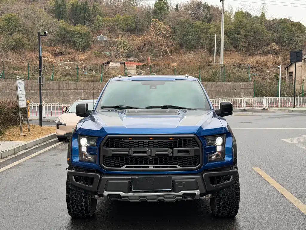 Ford F-150 Raptor 2019 — фото 2