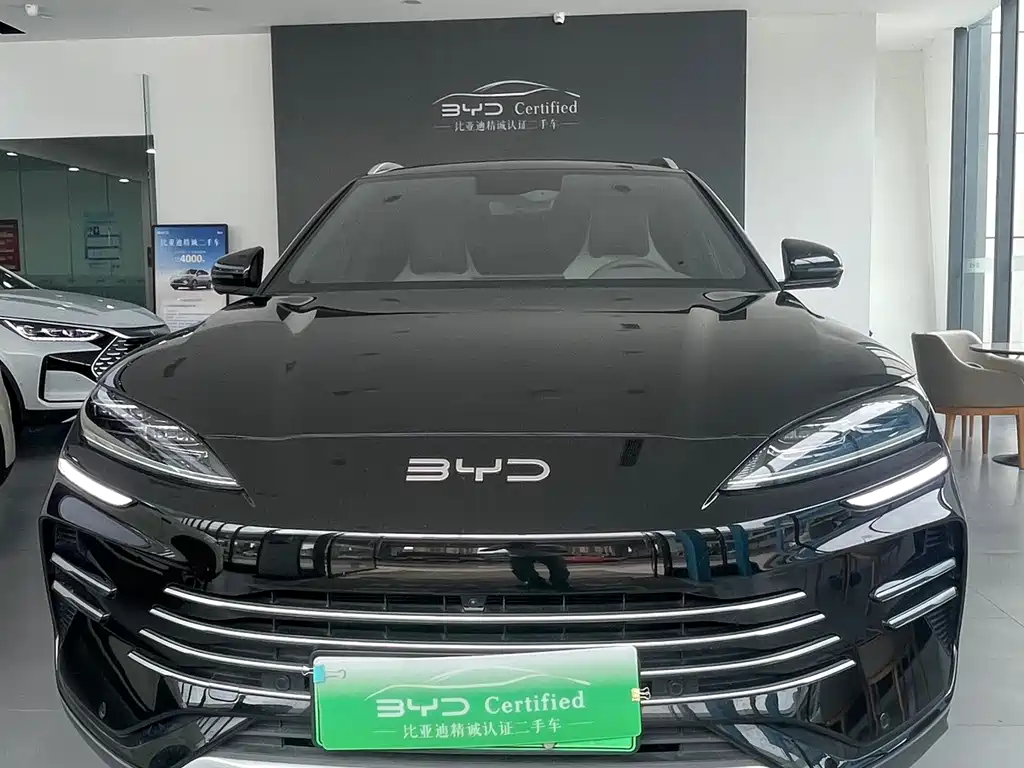 BYD PLUS New Energy 2025 — фото 2