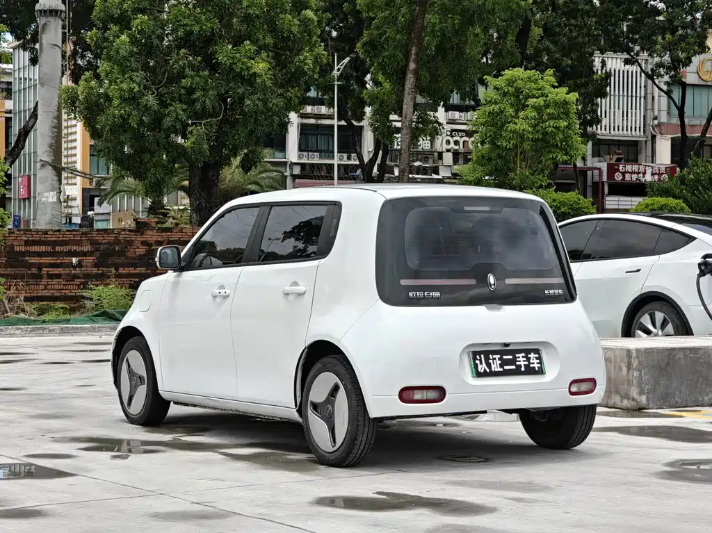 Ora White Cat 2022