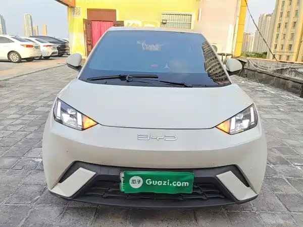 BYD Seagull 2024