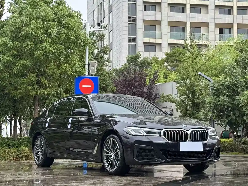 BMW 5 Series 2021