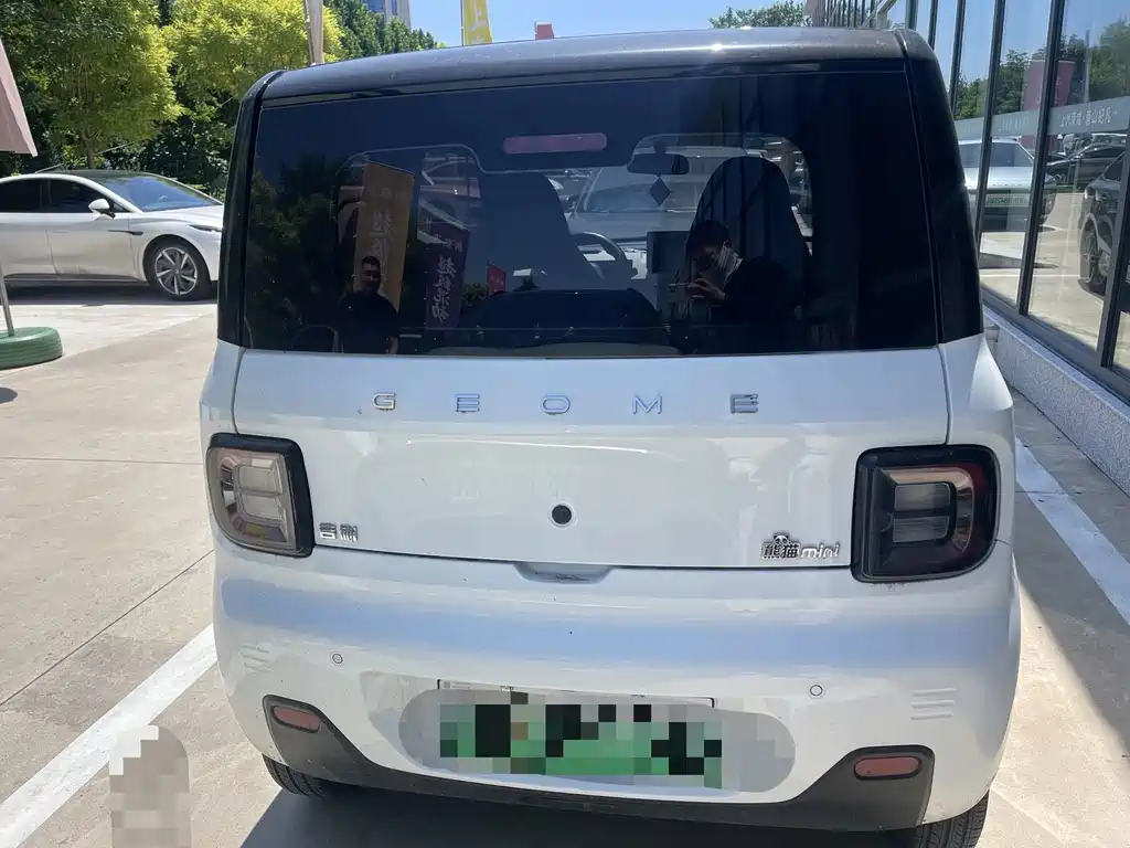 Geely Galaxy Panda 2024