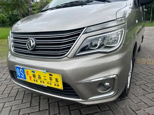 Dongfeng Lingzhi 2019