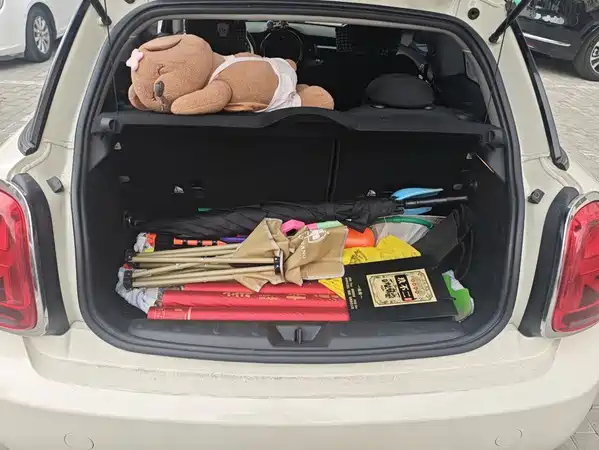 MINI 2018