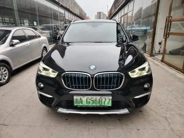 BMW X1 New Energy 2019
