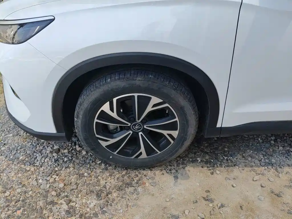 BYD Song Pro New Energy 2025 — фото 23