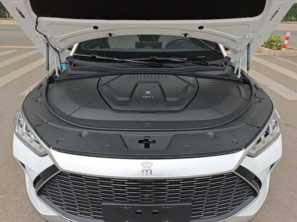BYD Song PLUS New Energy 2022 — фото 20