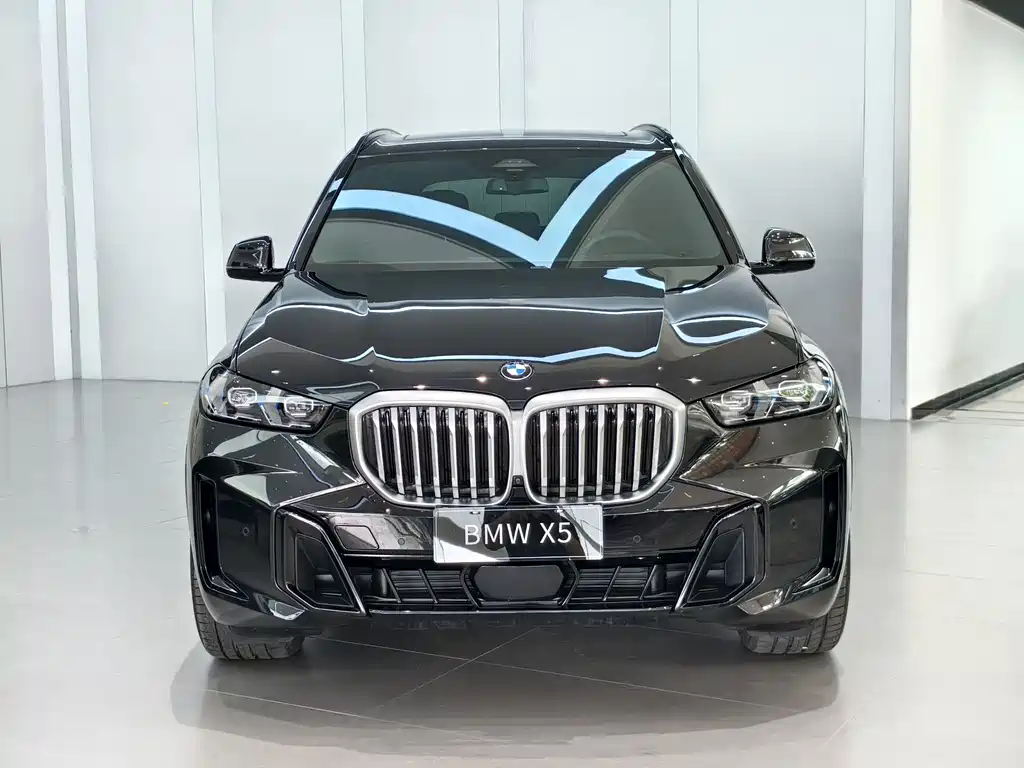 BMW X5 2024