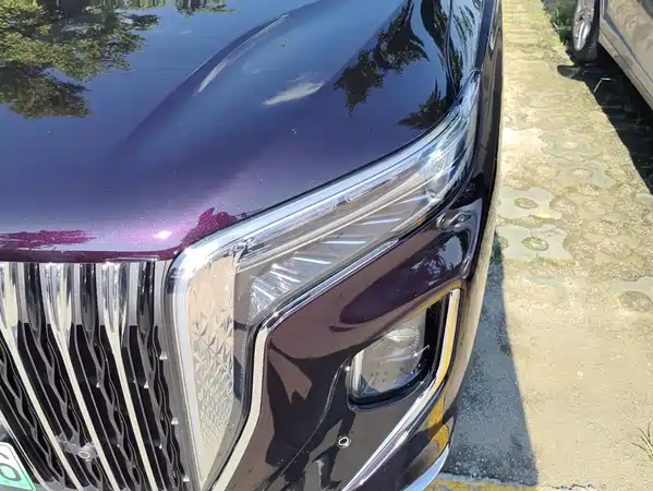 Hongqi HQ9 PHEV 2025