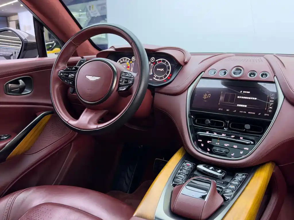 Aston Martin DBX 2020 — фото 18
