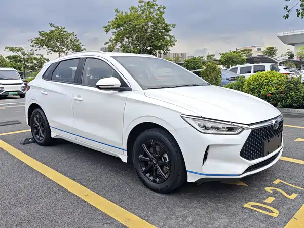 BYD e2 2022