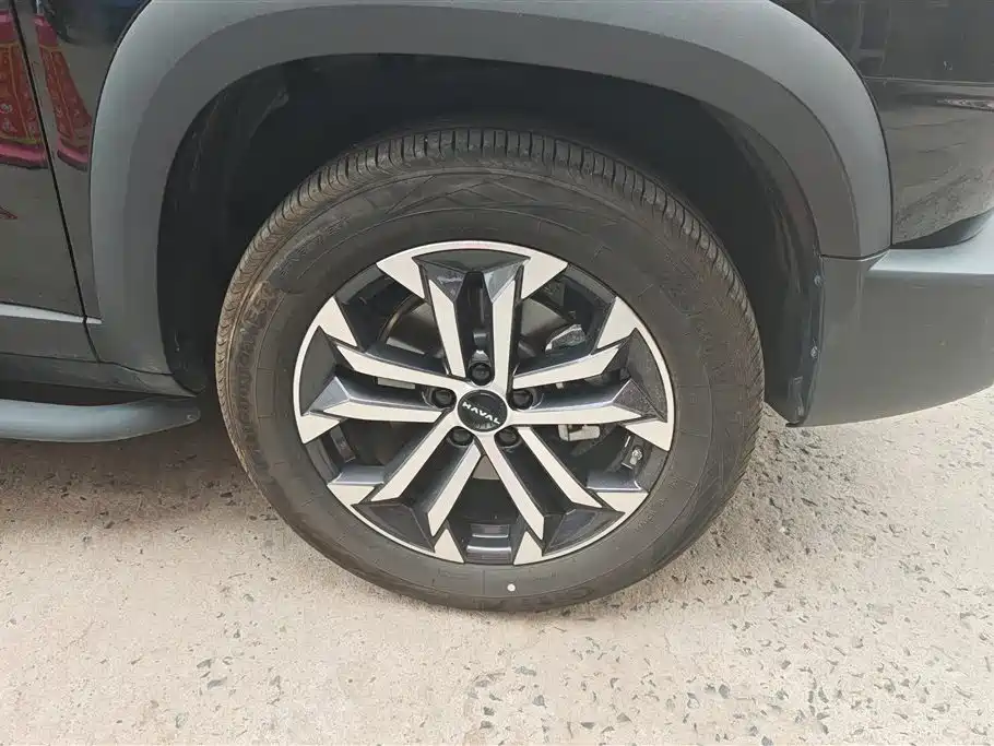 Haval Big Dog 2025