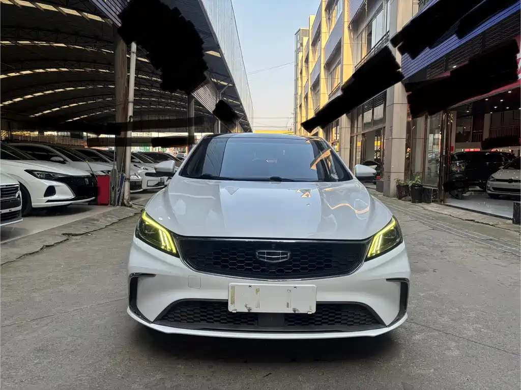 Geely Binrui 2021