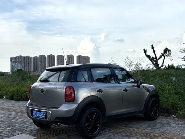 MINI MINI 2012