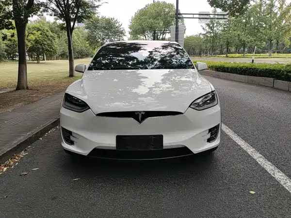 Tesla Model X 2019