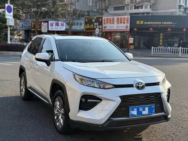 Toyota Wildlander 2021