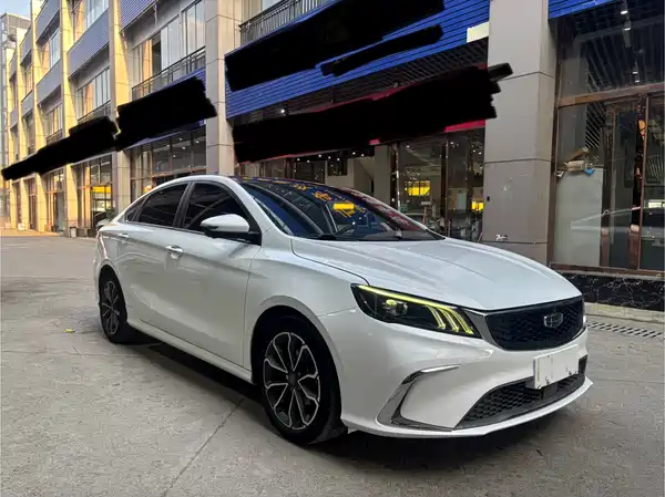 Geely Binrui 2021