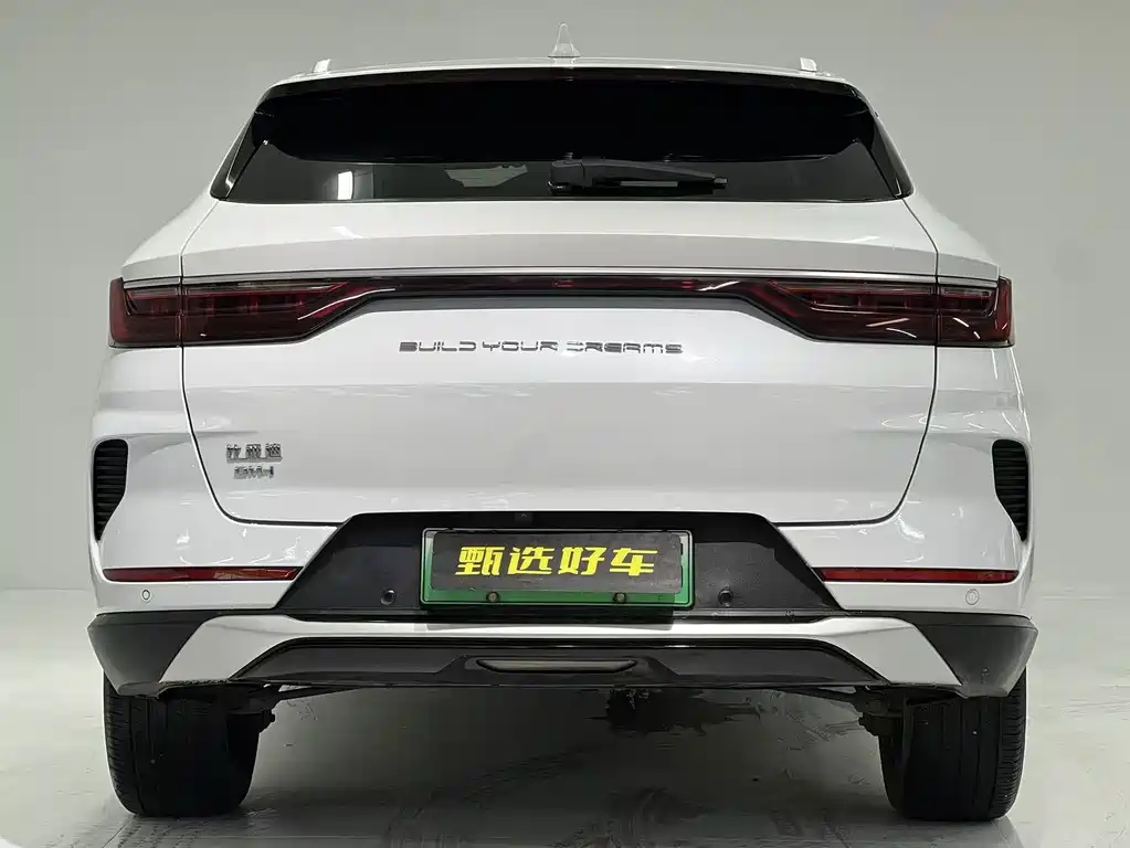 BYD Song PLUS New Energy 2021 — фото 9