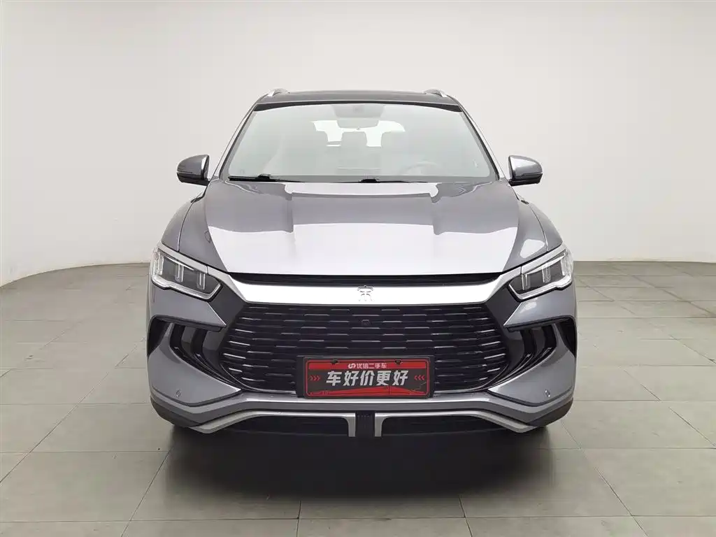 BYD Pro New Energy 2024