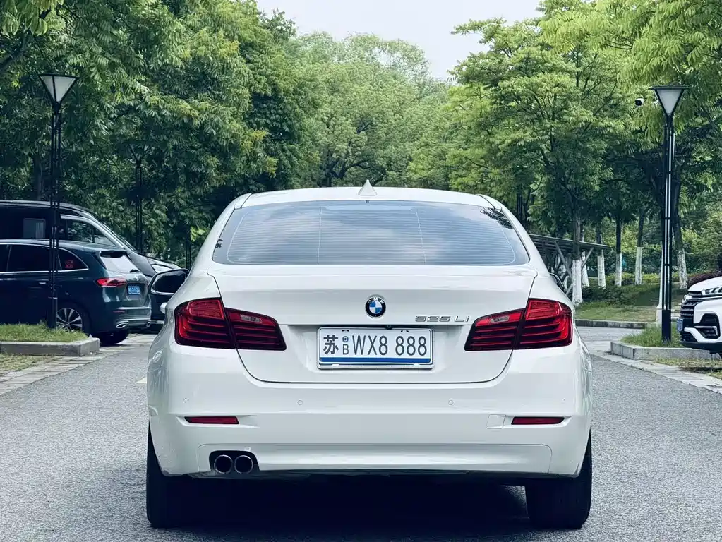 BMW 5 Series 2014 — фото 7