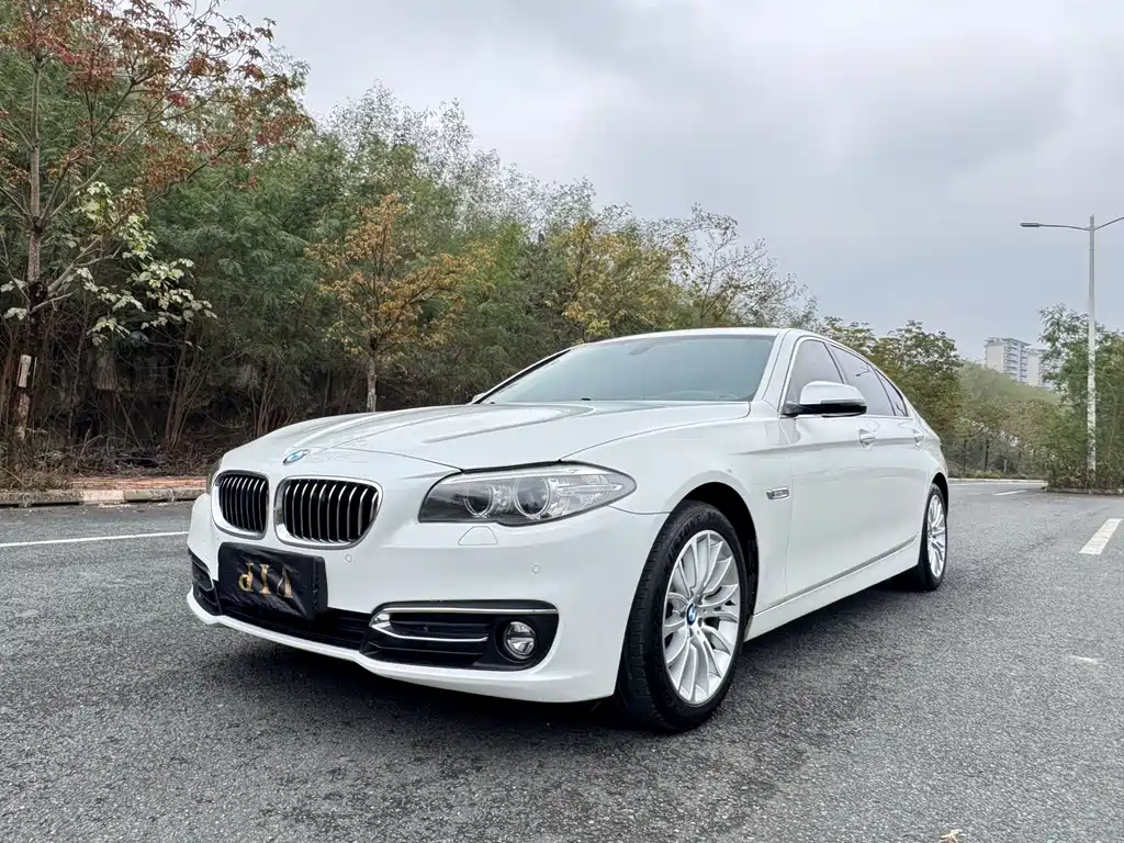 BMW 5 Series 2017 — фото 1