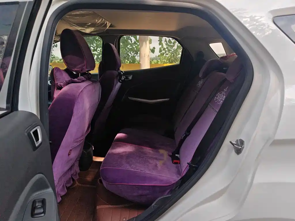 Ford Ecosport 2014 — фото 19