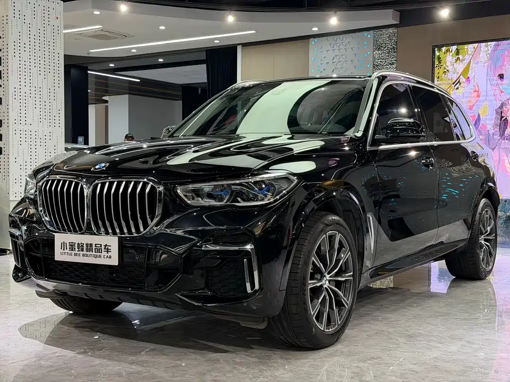 BMW X5 2023