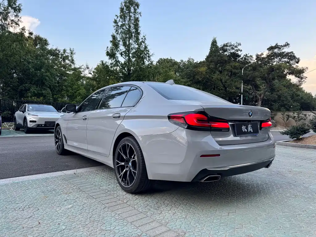 BMW 5 Series 2020 — фото 10