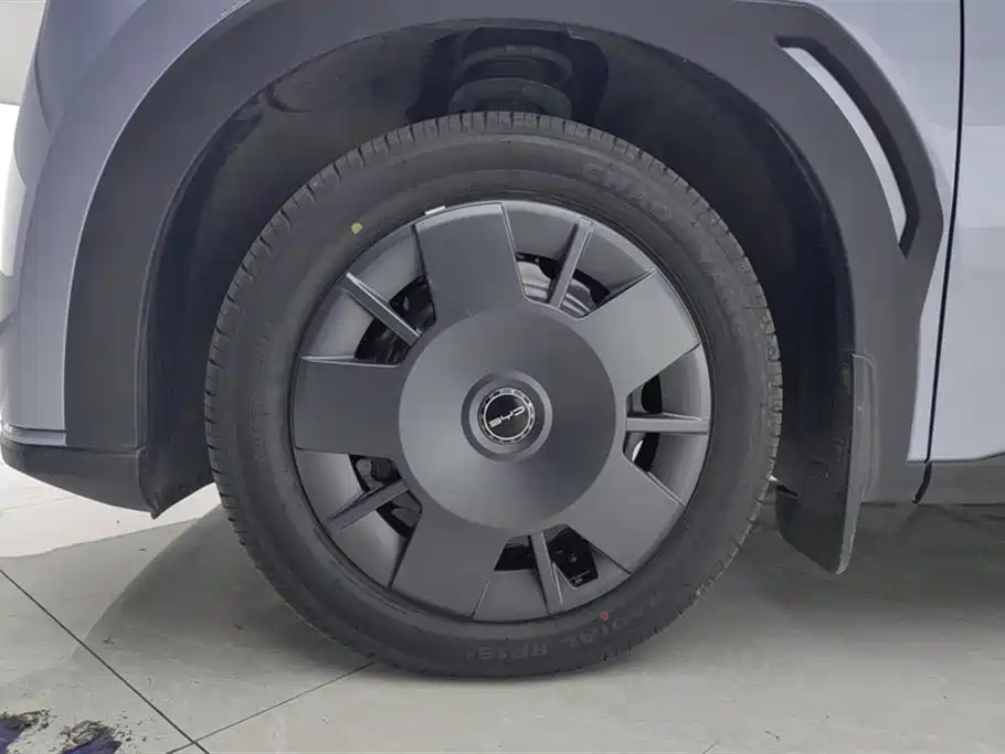 BYD Seagull 2024