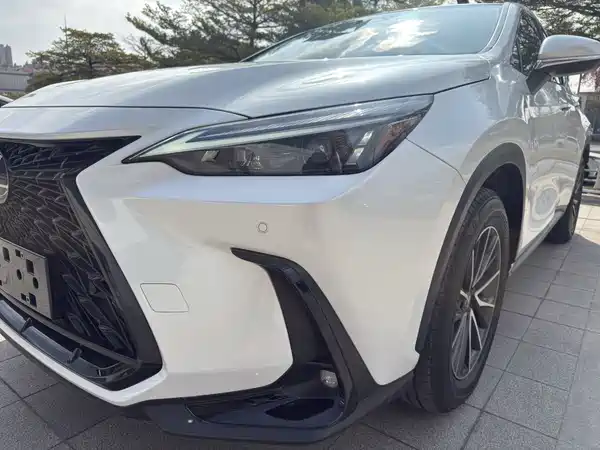 Lexus NX 2022