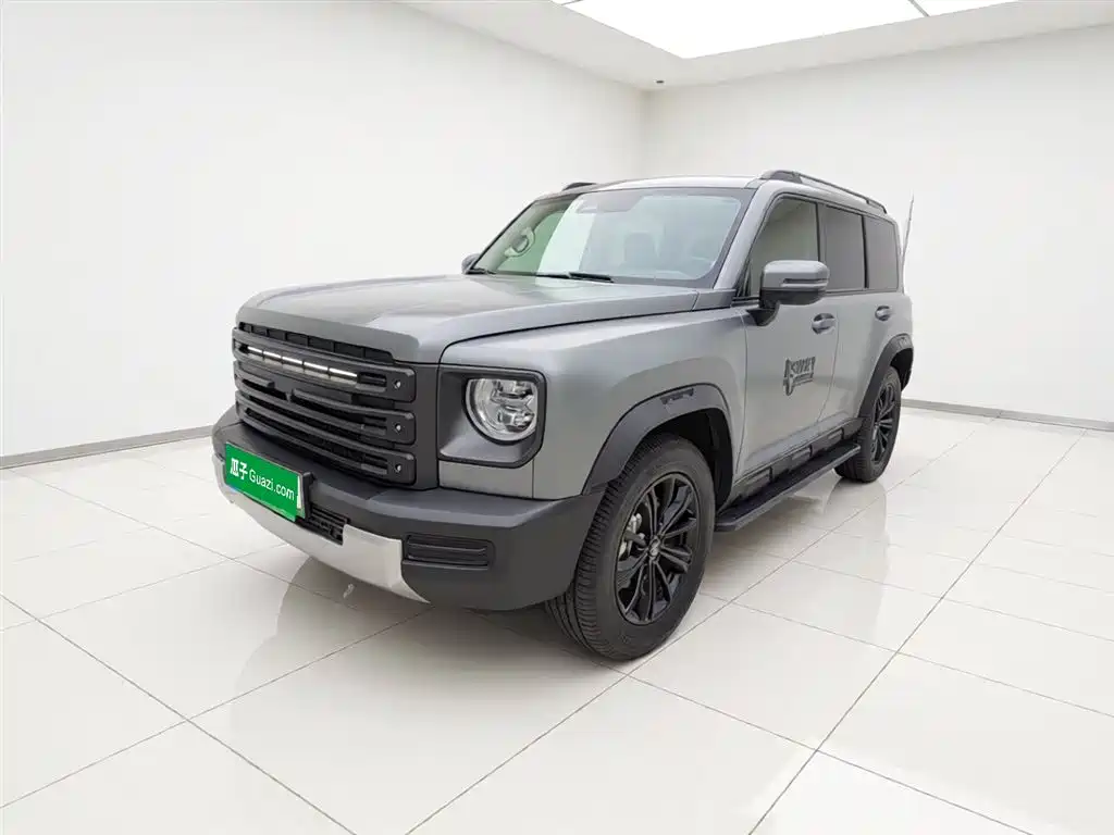 Haval Menglong New Energy 2025