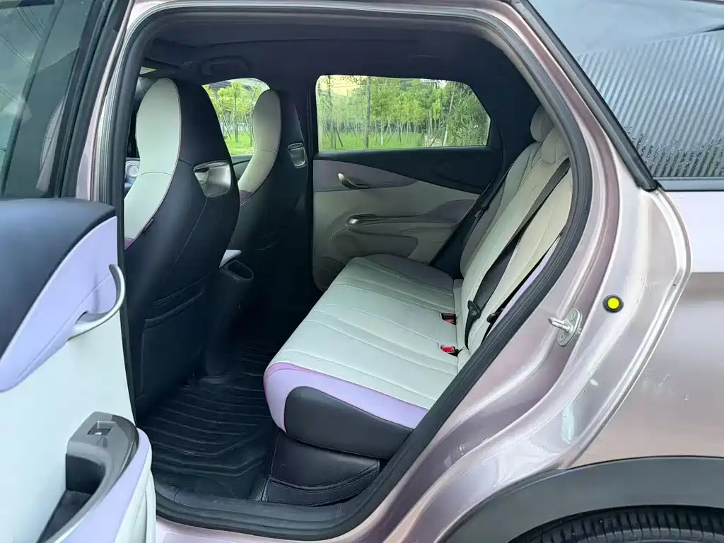 BYD Dolphin 2022