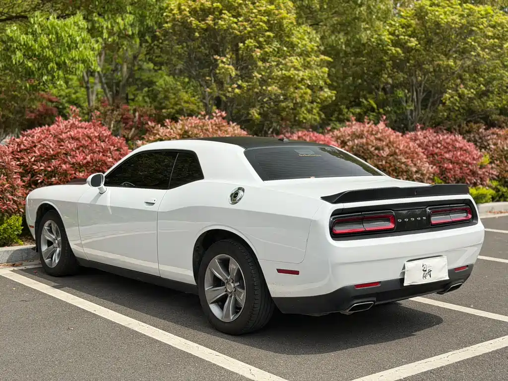Dodge  2020 — фото 11