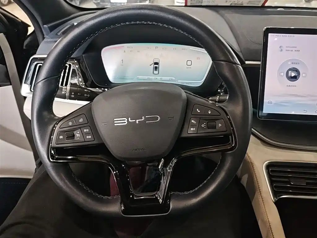 BYD PLUS New Energy 2024 — фото 11
