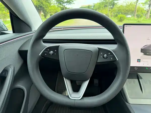 Tesla Model 3 2025