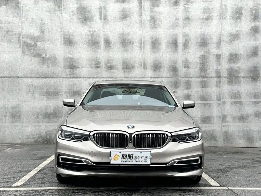 BMW 5 Series 2020