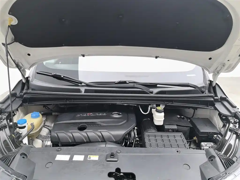 GAC Motor Trumpchi M6 2019