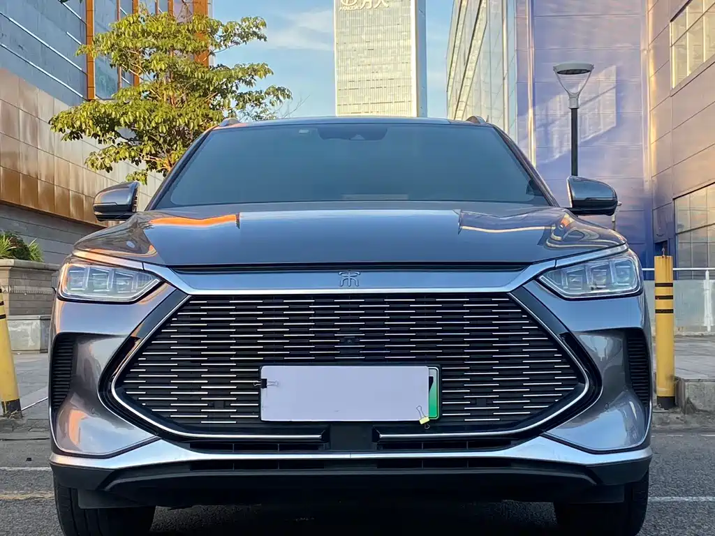 BYD PLUS New Energy 2021 — фото 2
