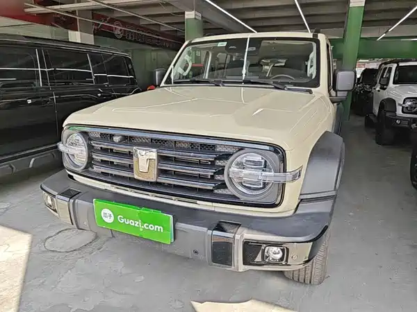 Tank 300 New Energy 2025