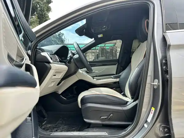 BYD Song PLUS New Energy 2021