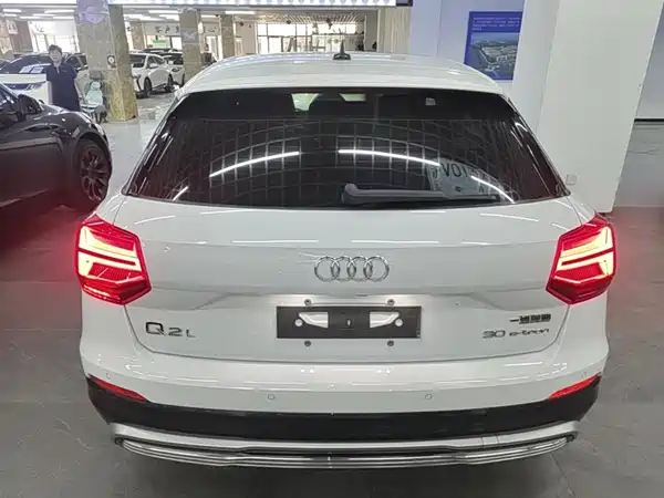 Audi Q2L E-Tron 2020