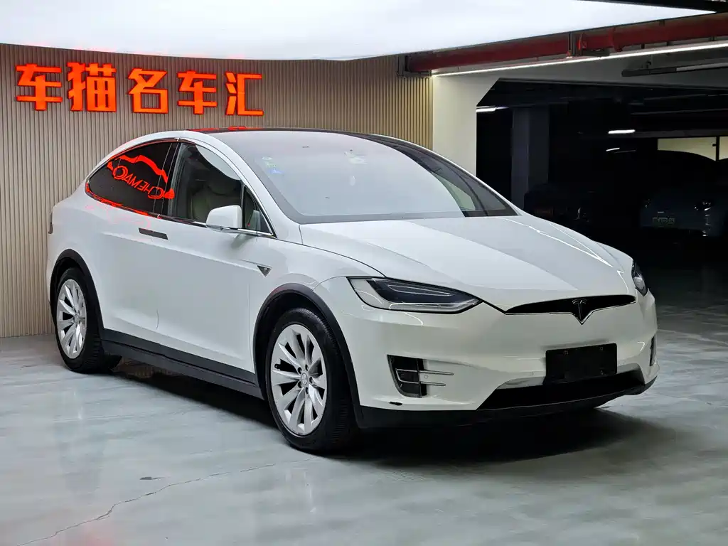 Tesla Model X 2017 — фото 3