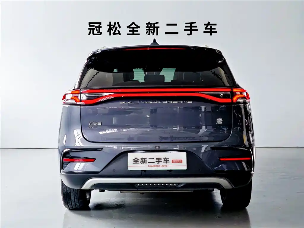 BYD Tang New Energy 2021 — фото 5